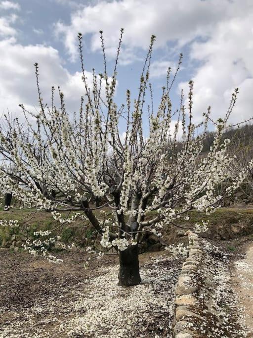 La Duquesa Del Valle Cabezuela Del Valle Zewnętrze zdjęcie